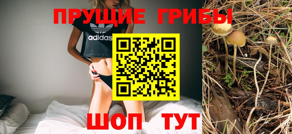 хочу   Вход с VPN  Армавир  Псилоцибиновые грибы Cubensis  Галлюциногенные грибы Magic Shrooms 
