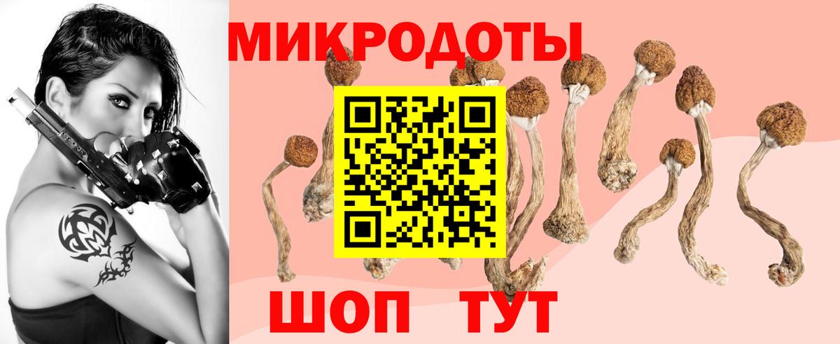 Псилоцибиновые грибы MAGIC MUSHROOMS Армавир